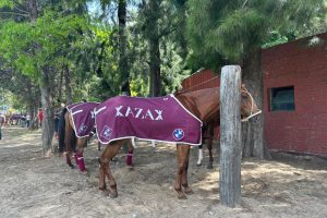 WhatsApp Image 2025-11-01 at 22.13.03